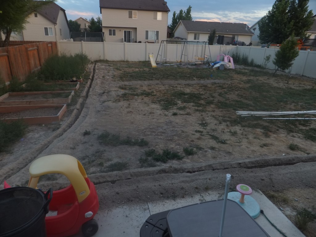 DSCF4431