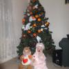 DSCF5529