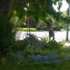WP_20140621_003
