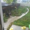 WP_20150611_007