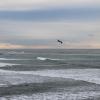 IMG_6688