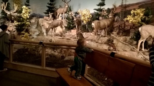 WP_20161021_013