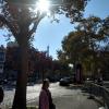IMG_20171015_133929561_HDR